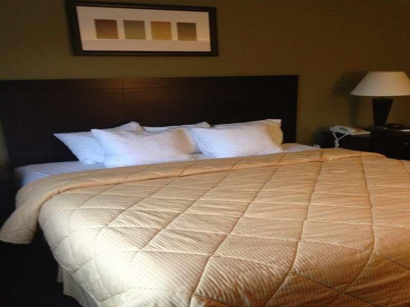 Quality Inn West Plano - Dallas Eksteriør bilde